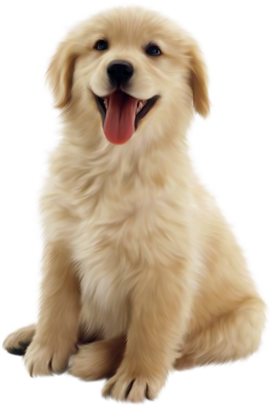 Dog Hero
